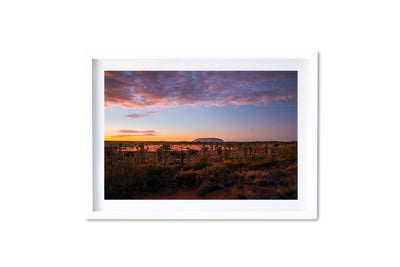 Field of Light Uluru